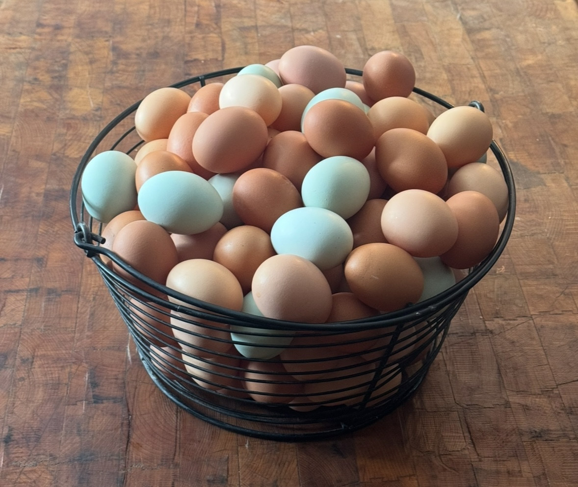 Free Range Eggs