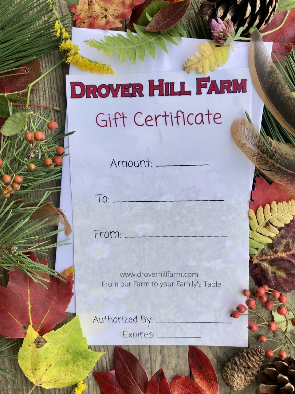 $75 Gift Card