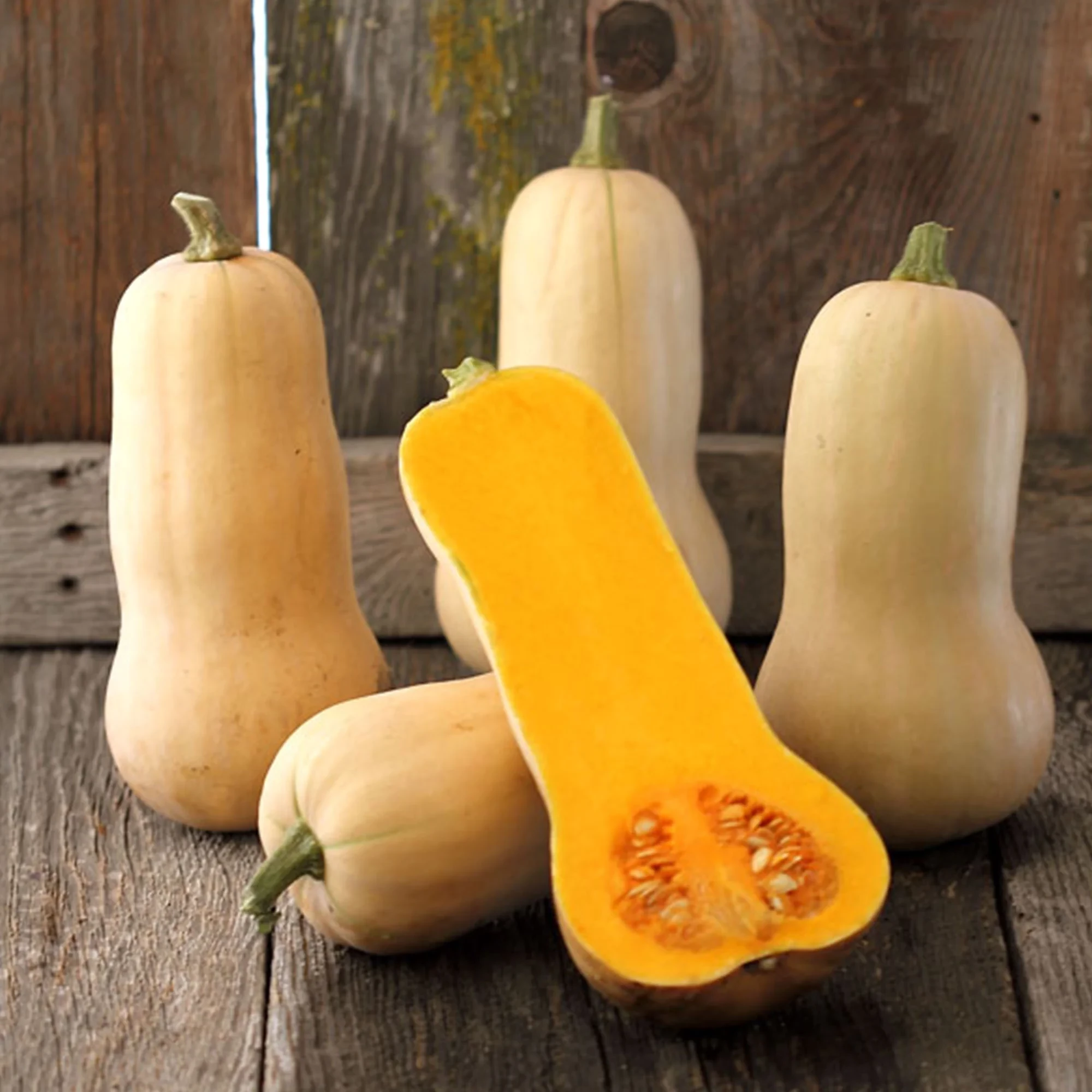 Butternut Squash