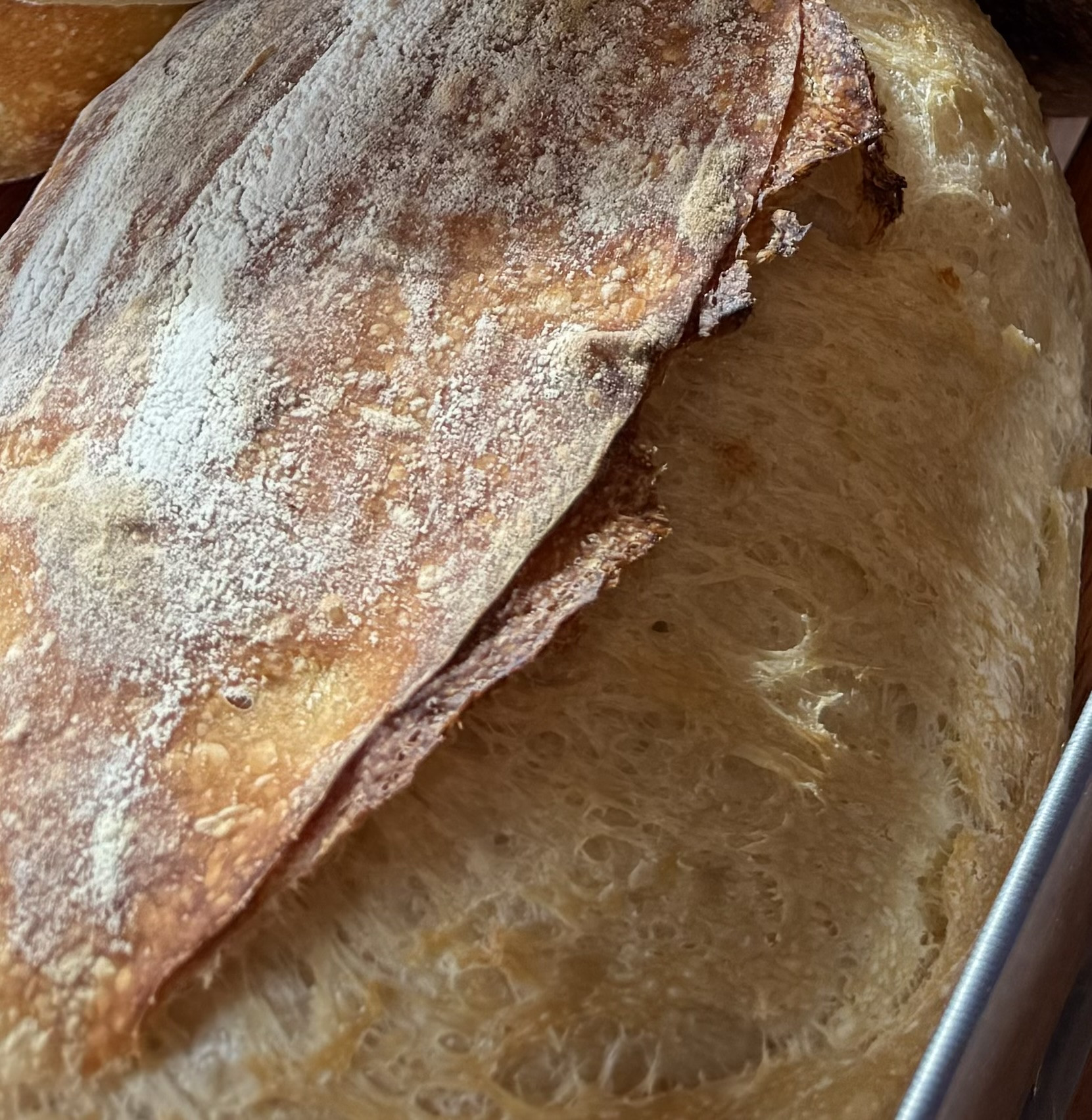 Organic Sourdough Bread