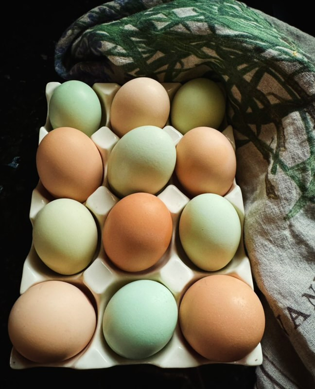 Eggs - L/XL