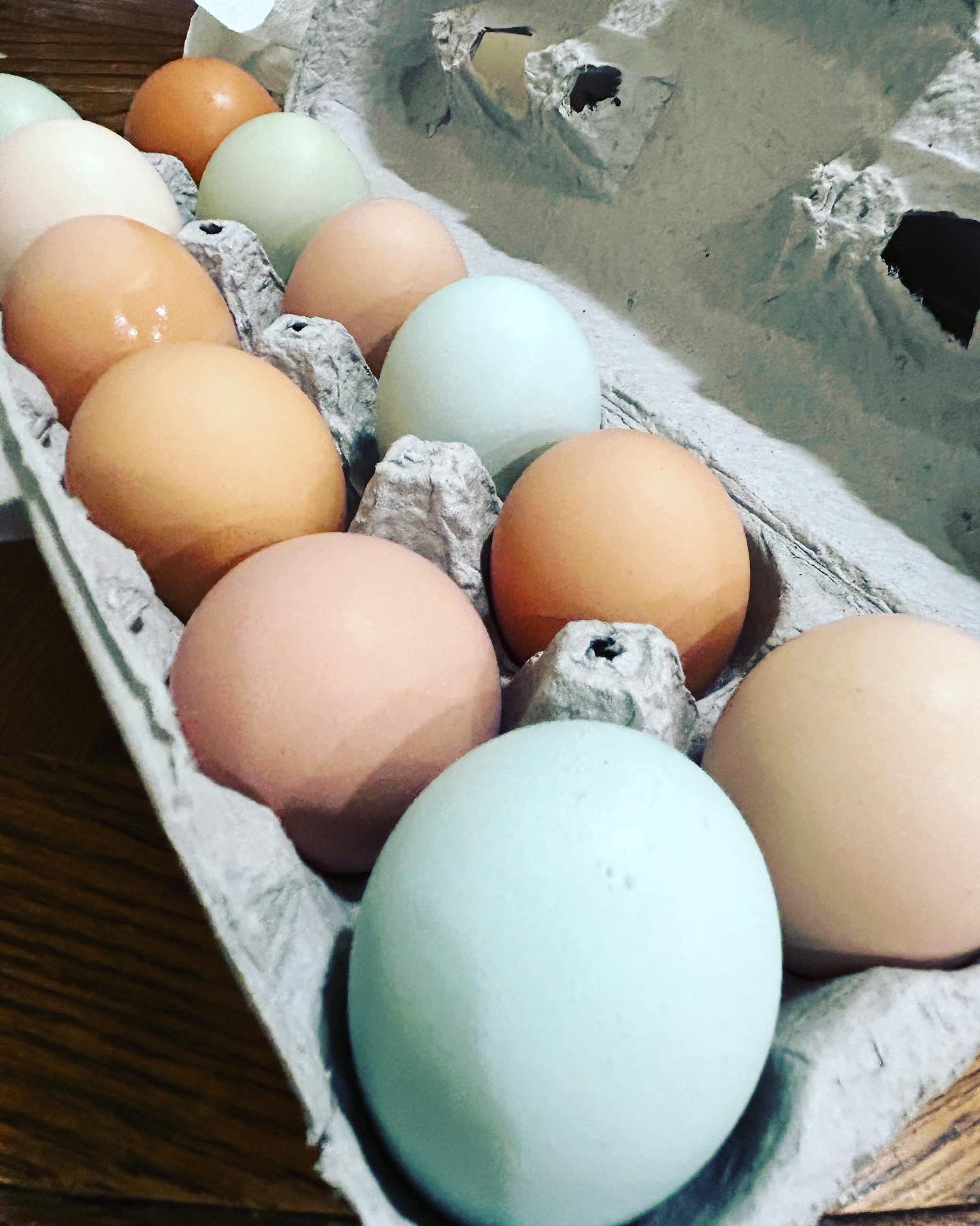 Eggs - Organically Pastured