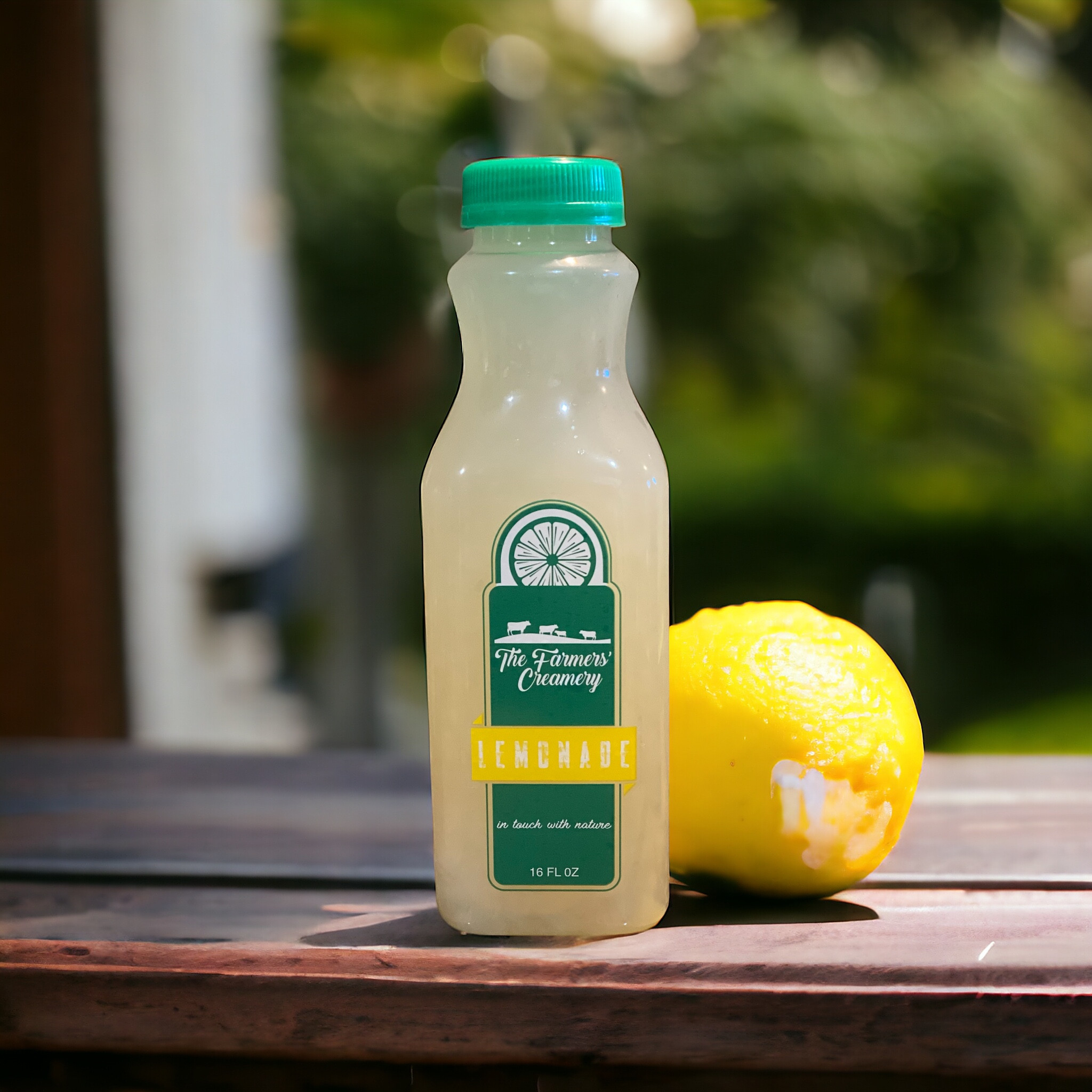 Lemonade 12/16oz case plastic