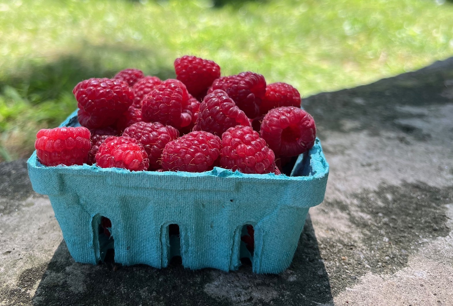 Raspberries, Red