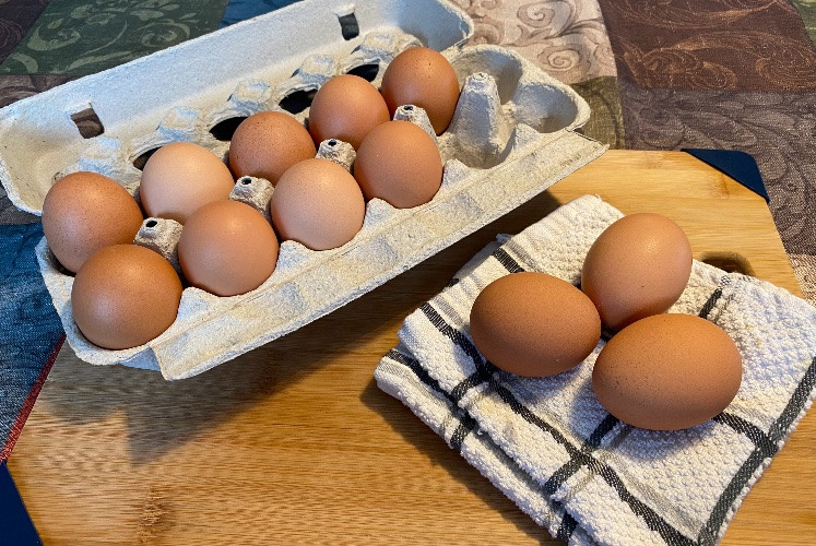 Grade AA - Medium Brown Eggs