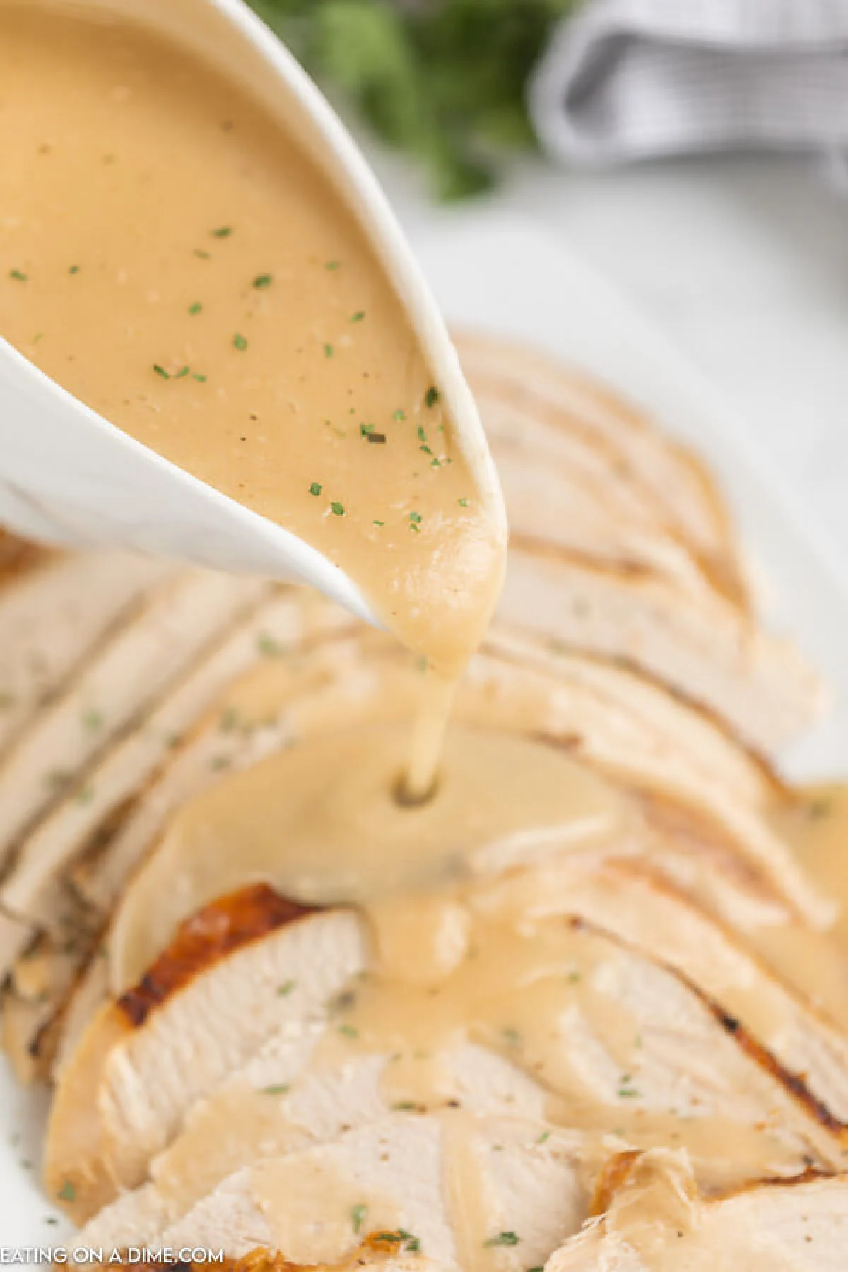 Roasted Turkey & Gravy