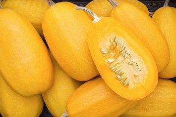 1/2 bu - Spaghetti Squash (OG)