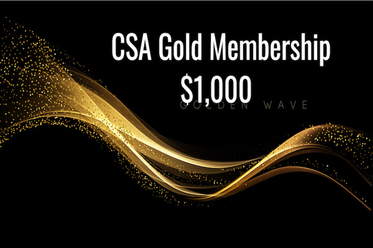 CSA Gold