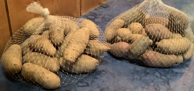 Amberland Farm Patriotic or Fingerling Potatoes