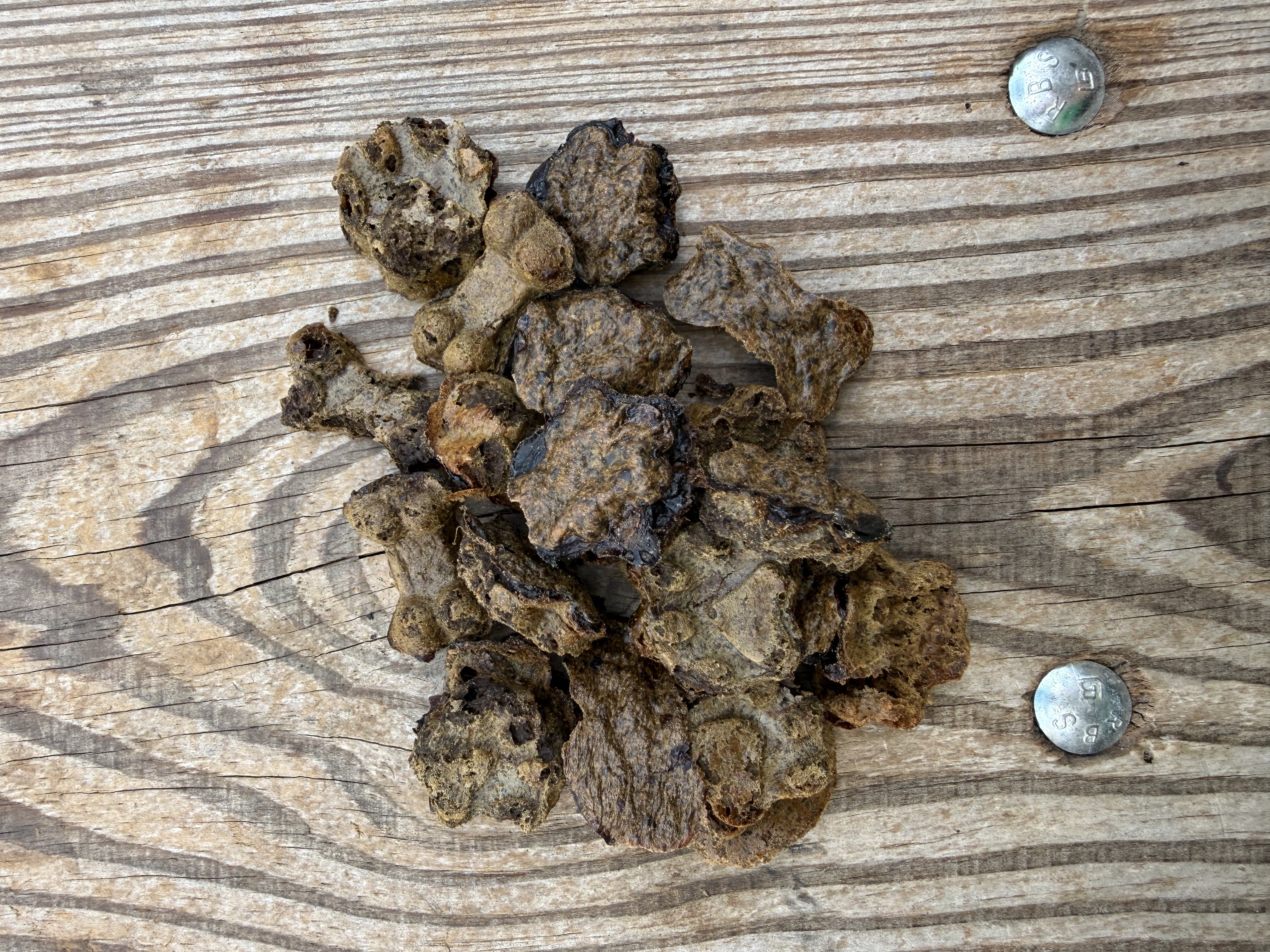 Dehydrated Beef Kidney