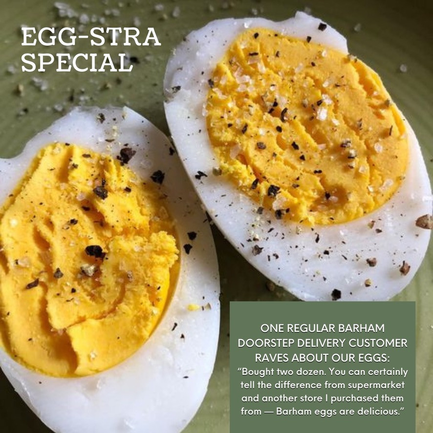 1 Dozen Free-Range Eggs