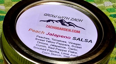 CANNING - Peach Habanero Salsa Pint