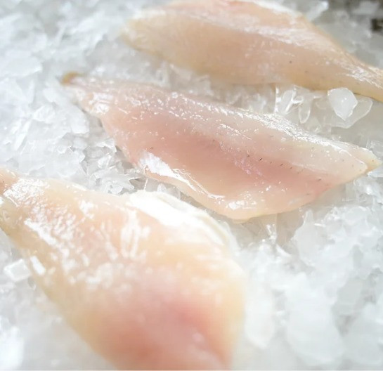 Lake Perch - Frozen Euro Lake Perch Filet (11# Case)