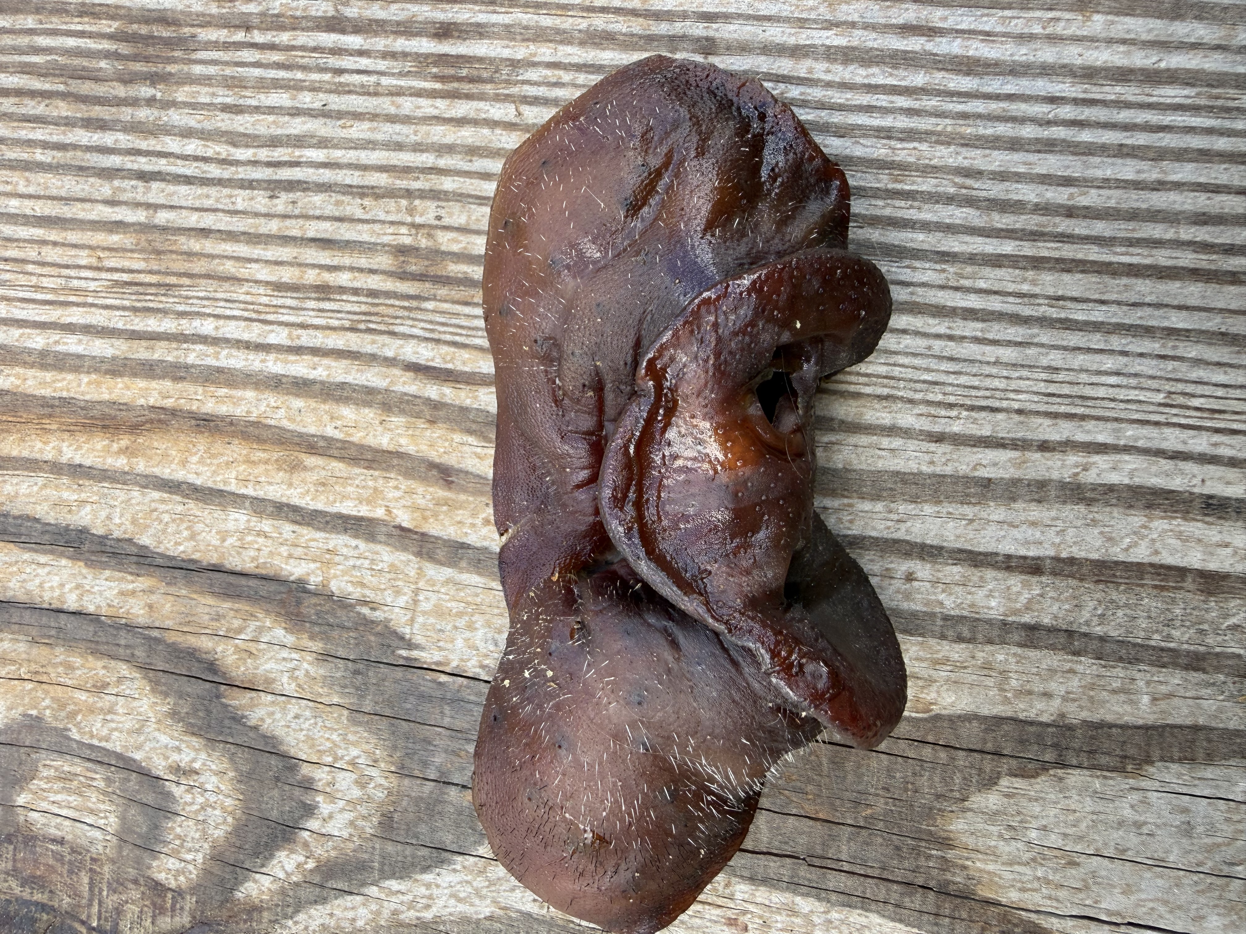 Dehydrated Pig Snout