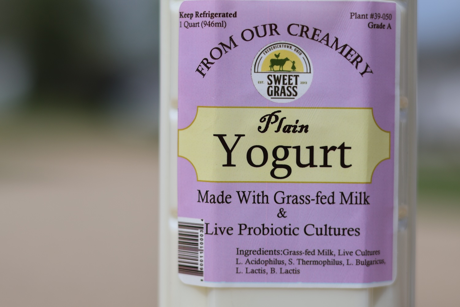 Yogurt, Plain