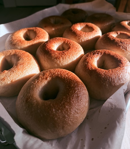 Organic, Frozen, Sourdough Bagels - Plain