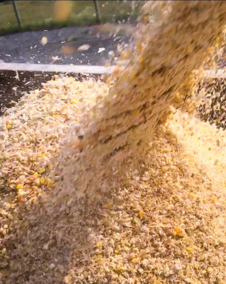 18% Layer Feed - 50 pound bag