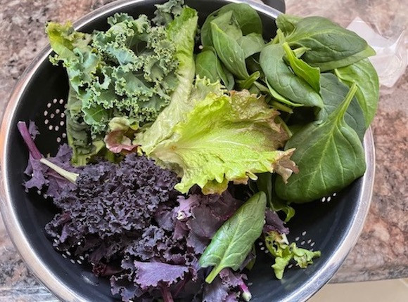 Salad Mix, 1 lb. bag