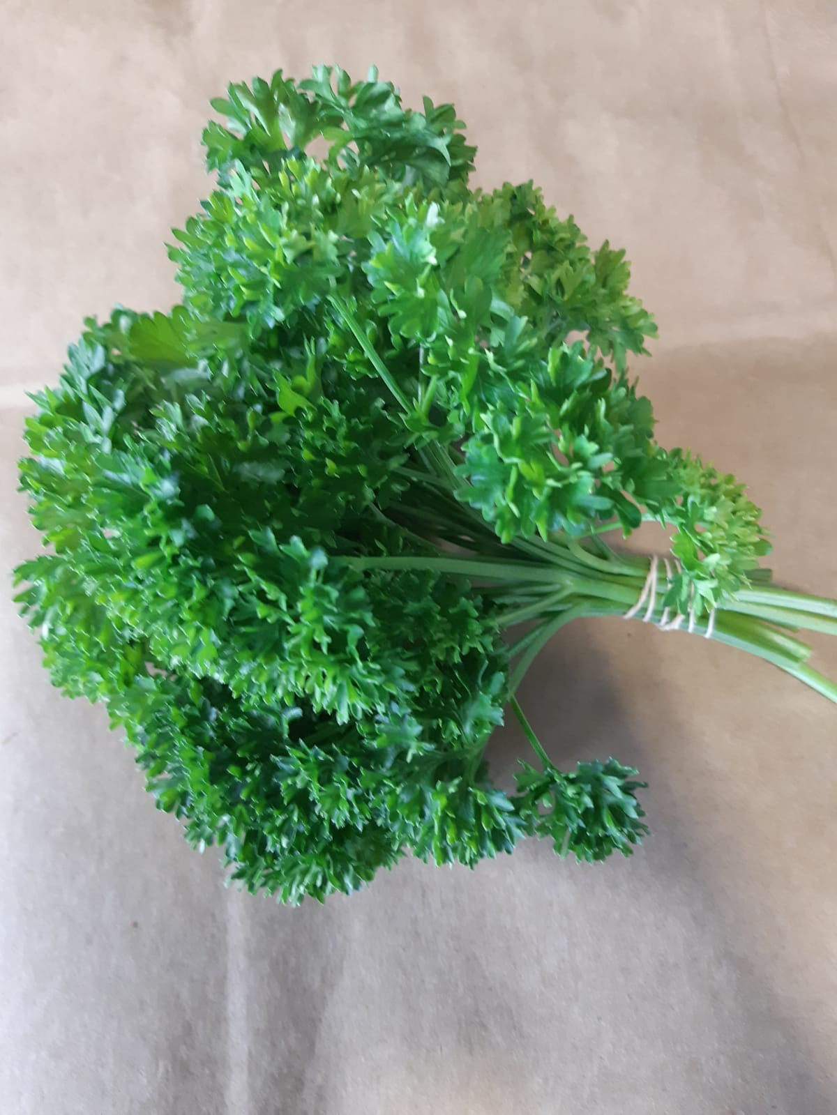 Parsley