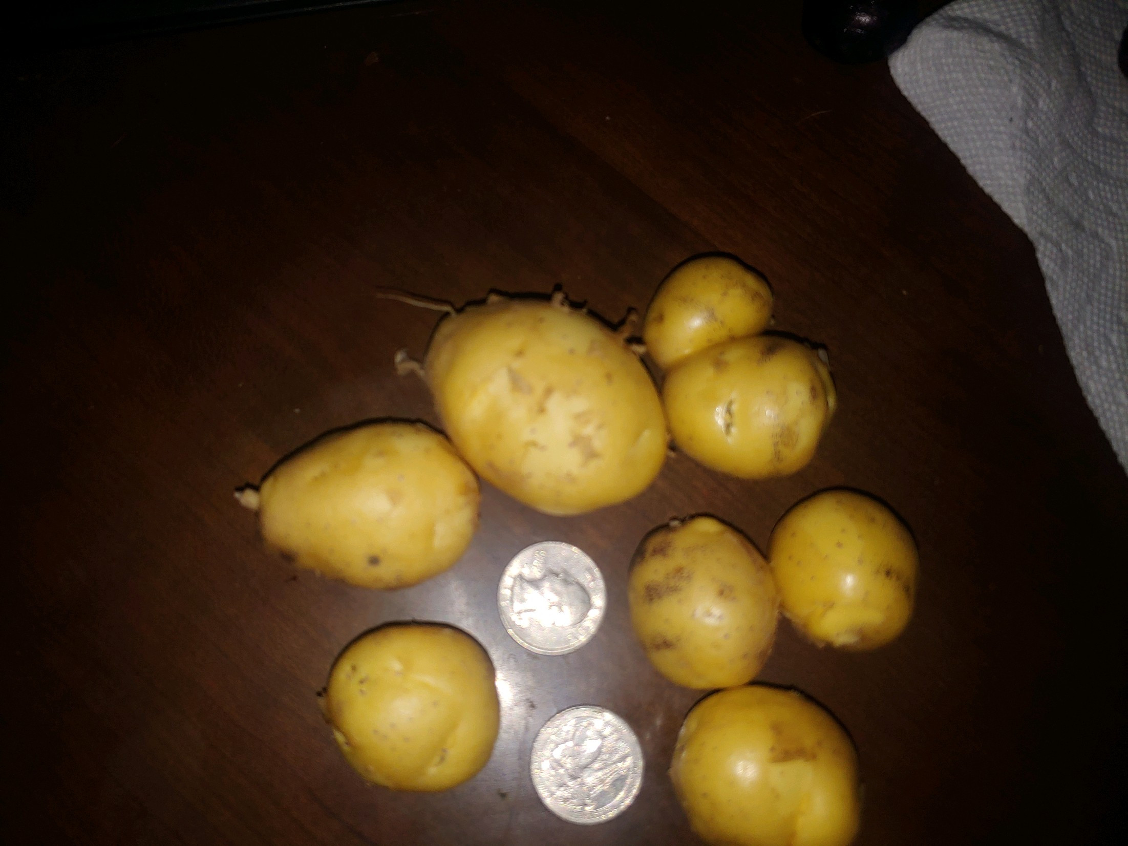 New Potatoes - Masquerade (1lb) PPP
