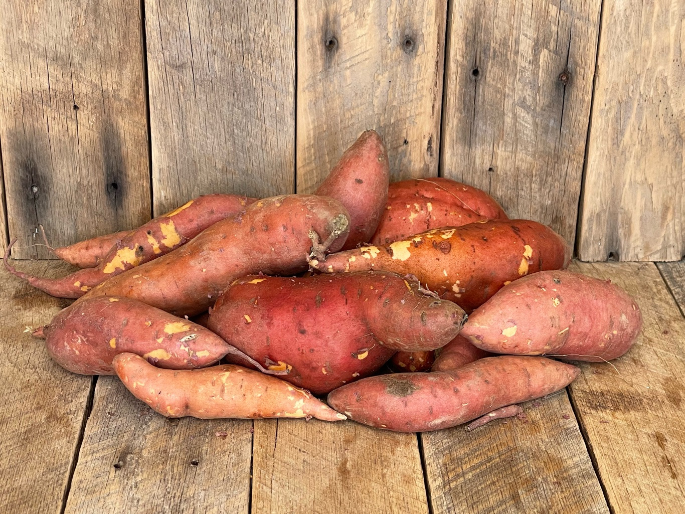 5 lb. Sweet Potatoes
