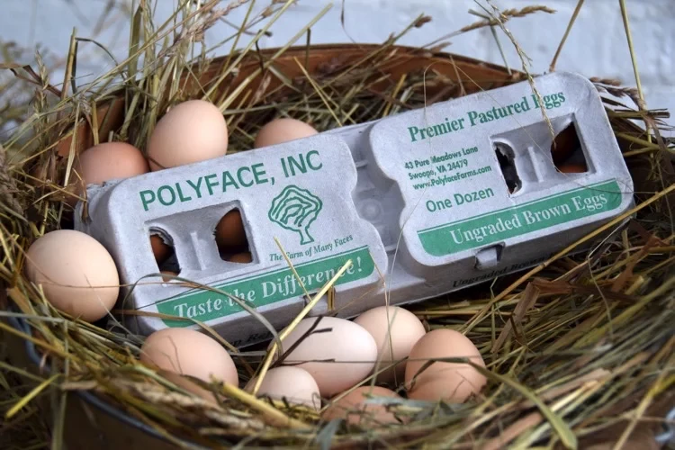 LARGE | 4 DOZEN PASTURED EGGS