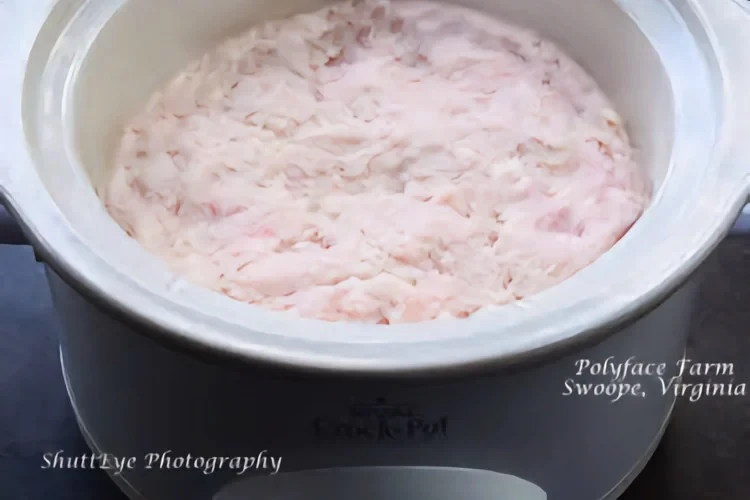 Back Fat | Pork Fat