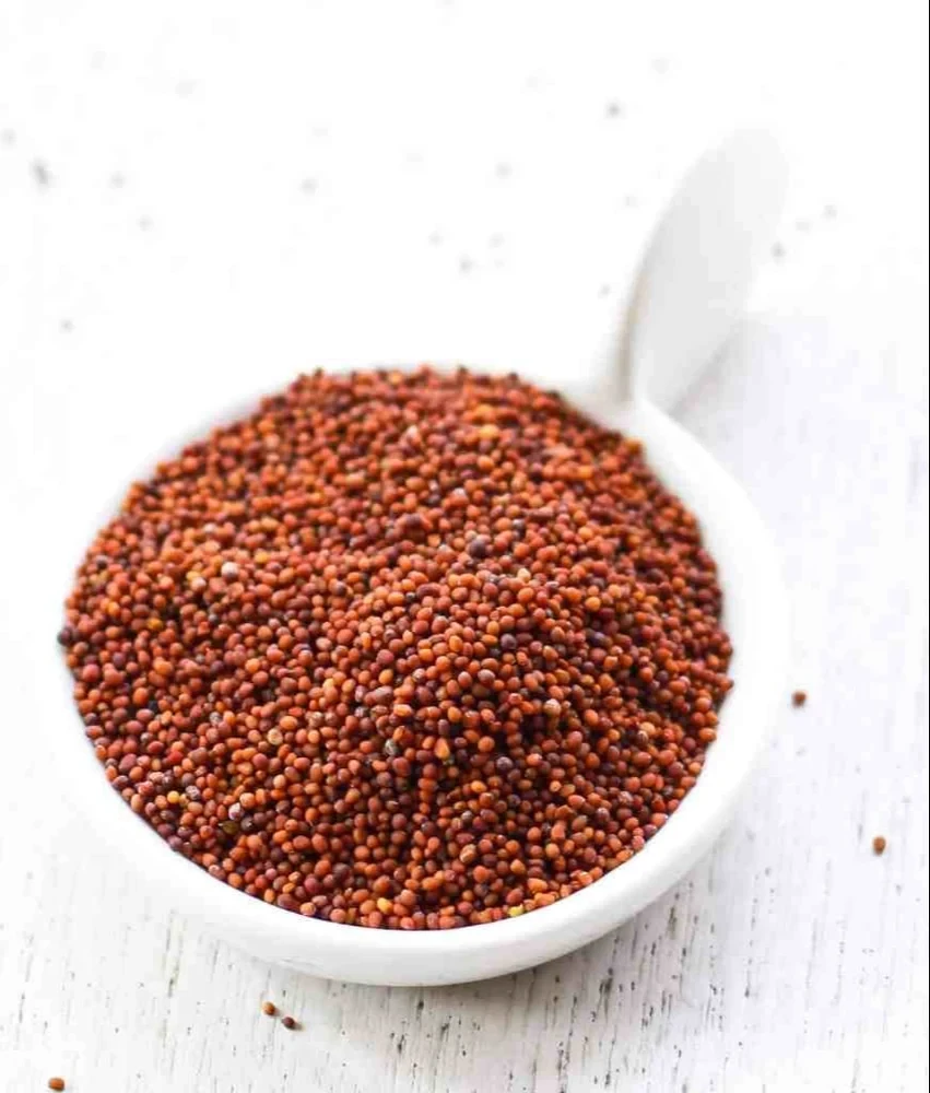 GAZAB RAEE MUSTARD SEEDS 400gm 0864951003103