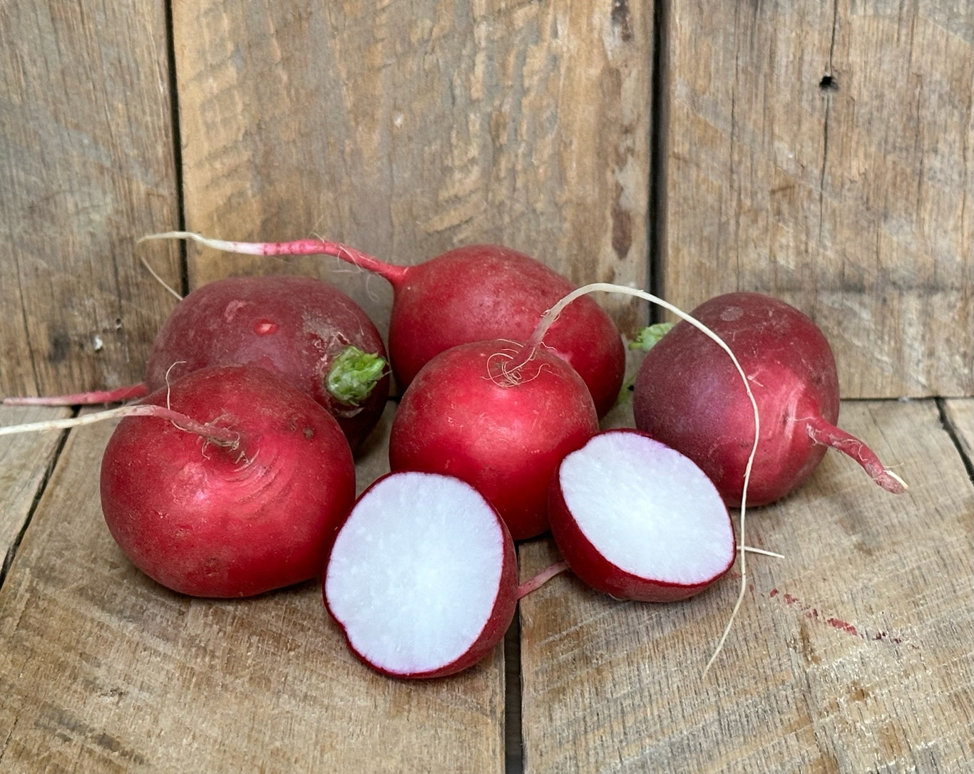 Red Radishes
