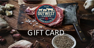 $100 Gift Card