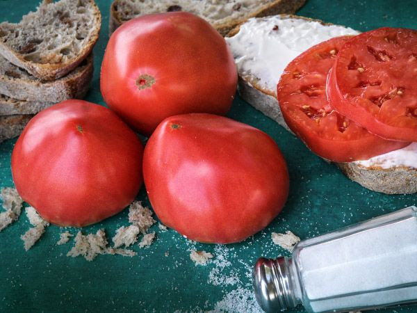 Tomatoes (slicers)