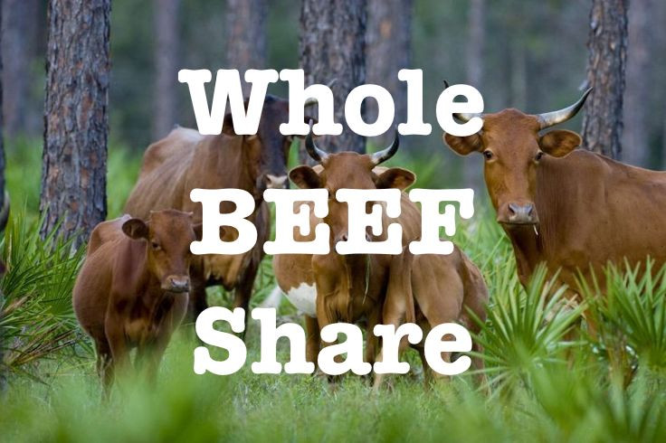 Whole Share Grass Finished Beef