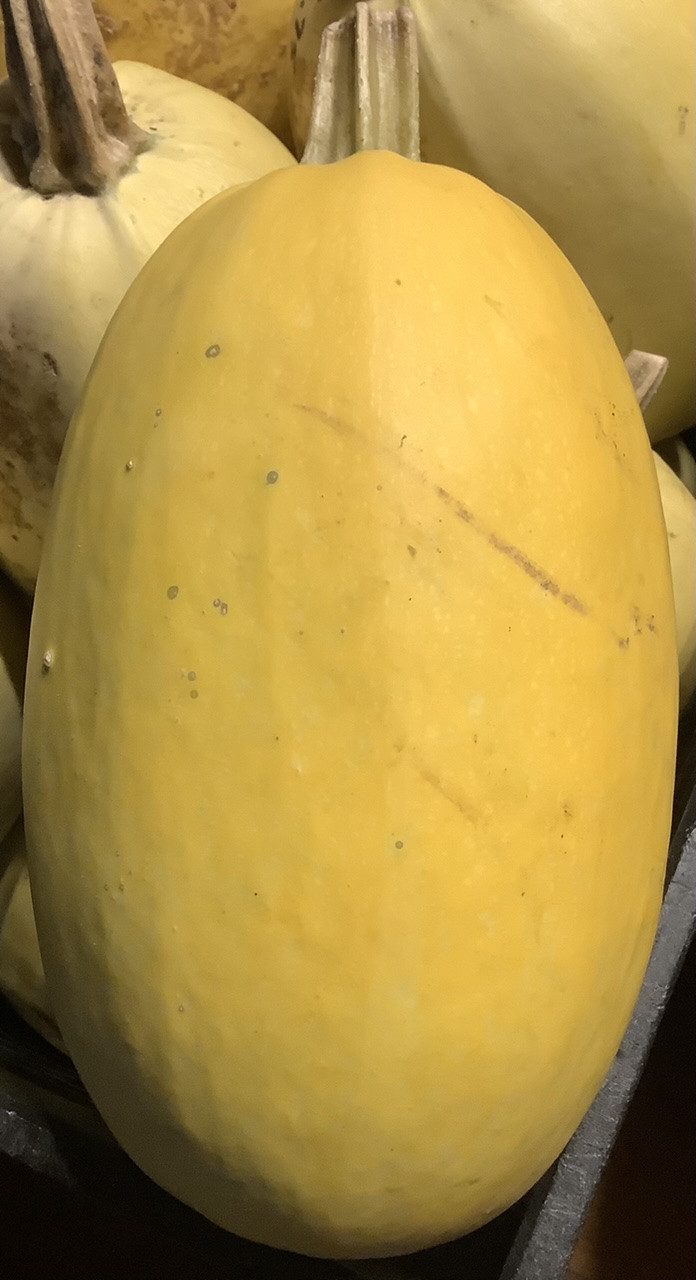 Amberland Farm Spaghetti Squash