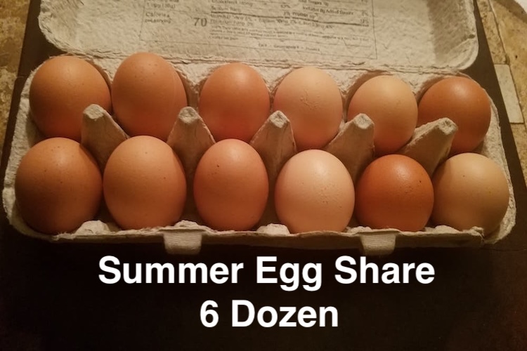 2026 Summer Egg Share 6 Dozen every other week pickup from Michael’s Frozen Custard (Atwood Ave)