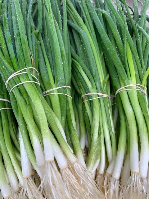 Scallions