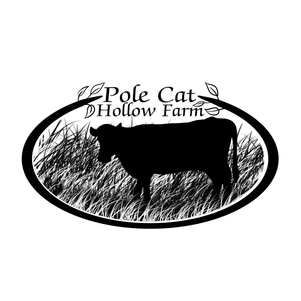 Flat Iron Steak