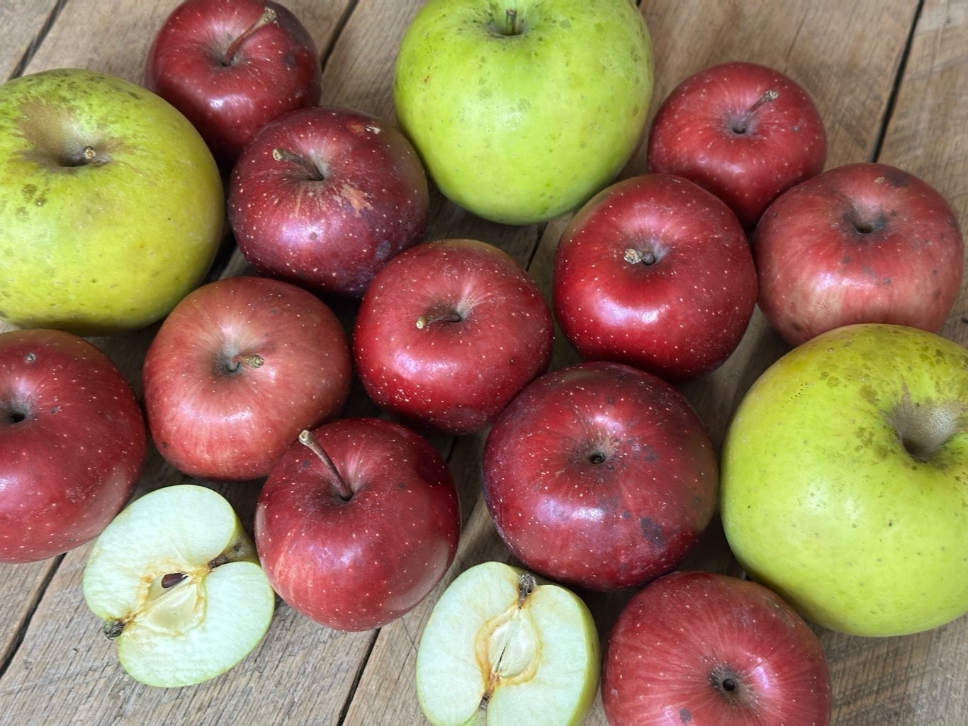 5 lbs. Fresh Apples