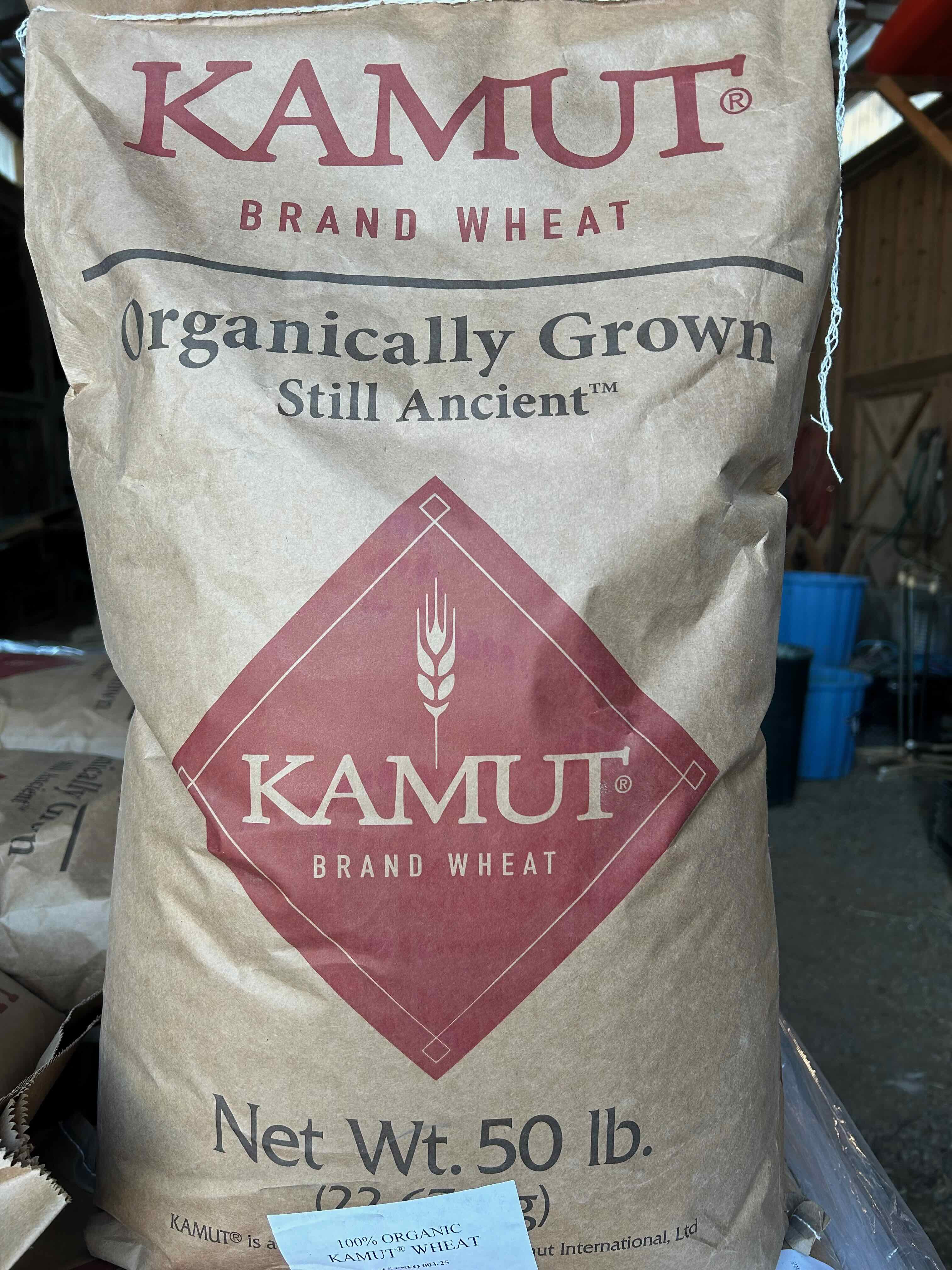 Organic Kamut Wheat | 20 Bags
