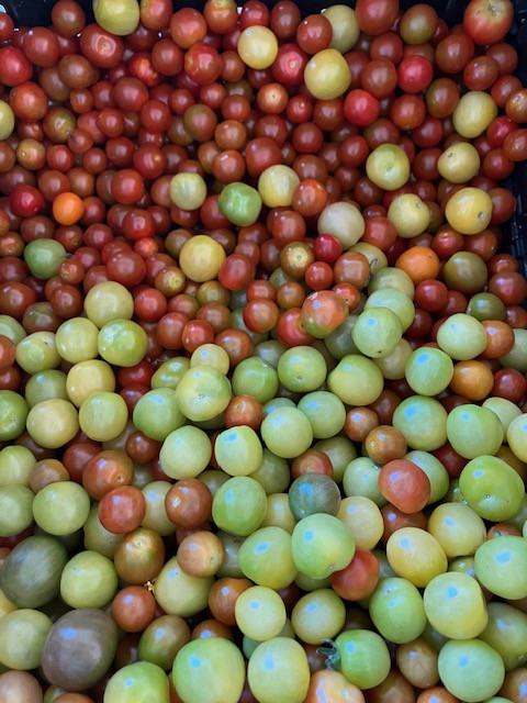 Tomatoes, Cherry Mix