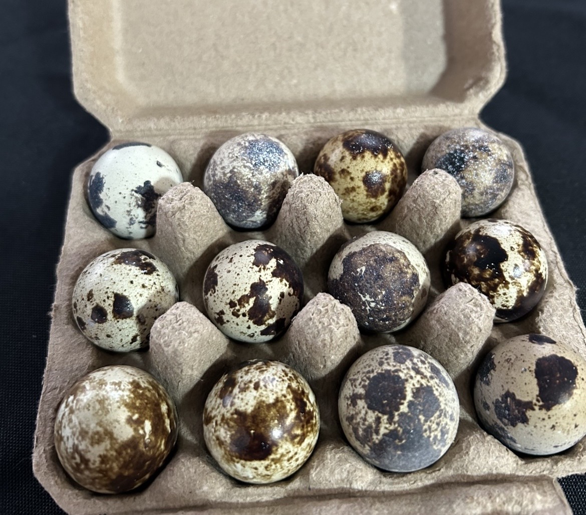 Quail Eggs