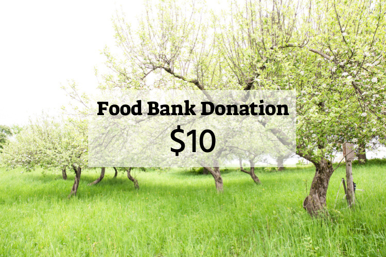$10 Donation