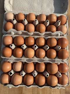 Eggs - 5 DOZEN - Certified Organic and Pasture Raised
