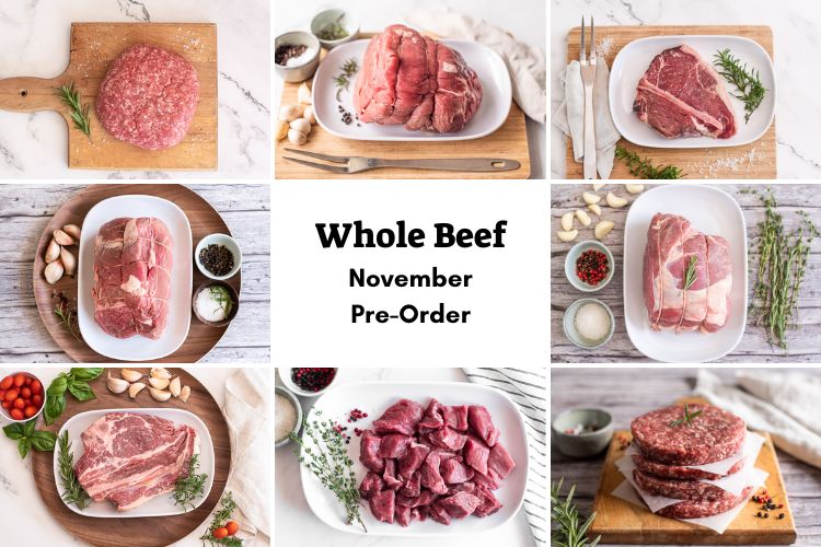 Whole Beef - November Pre-Order