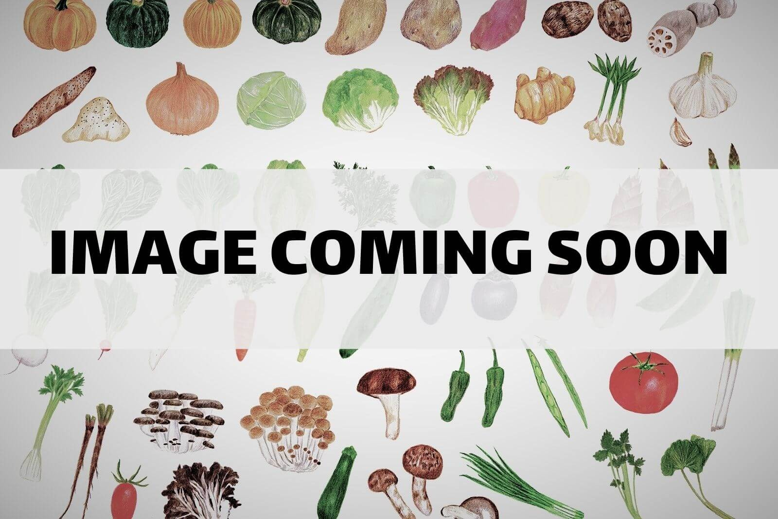  - Cover Photo