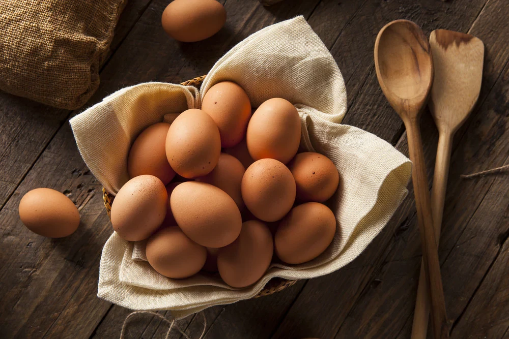 10 Dozen - Large Eggs