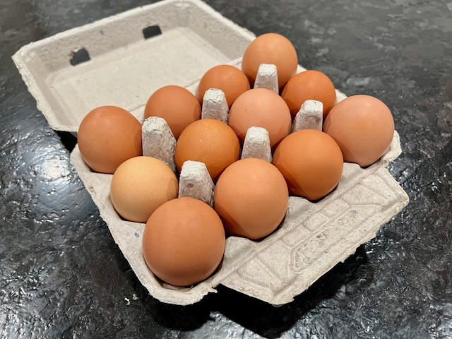 Pastured Eggs