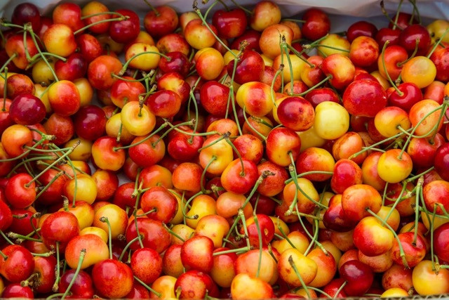 Cherries | Ranier