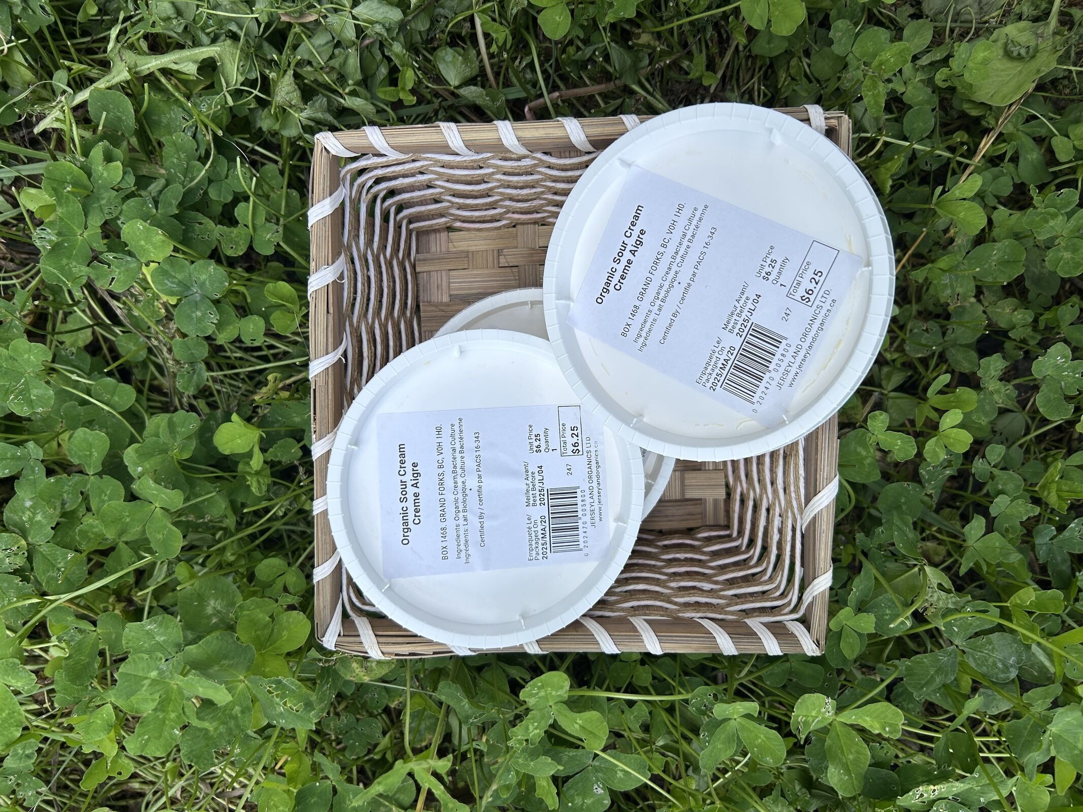 Grass Fed Organic Sour Cream