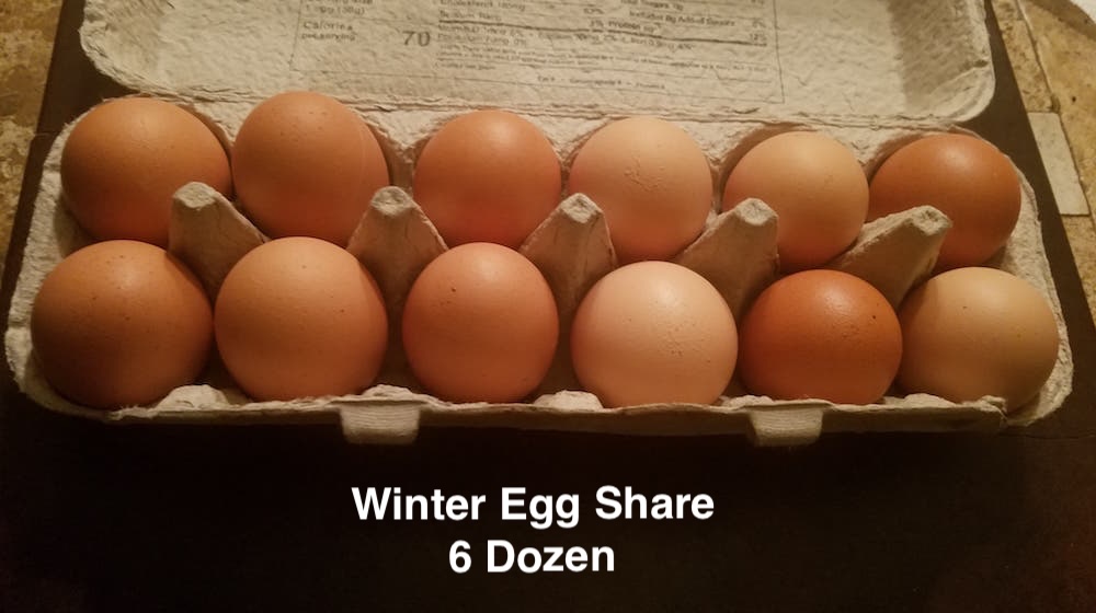 2026-27 Winter Egg Share 6 Dozen every other week pickup from Michael’s Frozen Custard (3826 Atwood Ave, Madison WI)