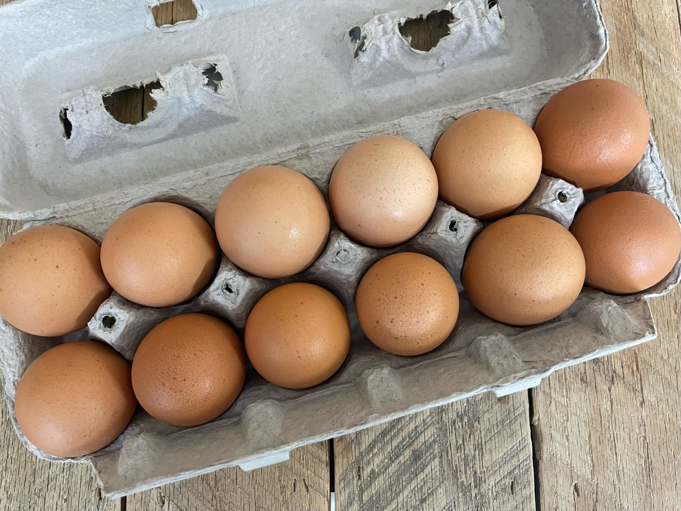 15 Dozen Bundle Large Brown Eggs